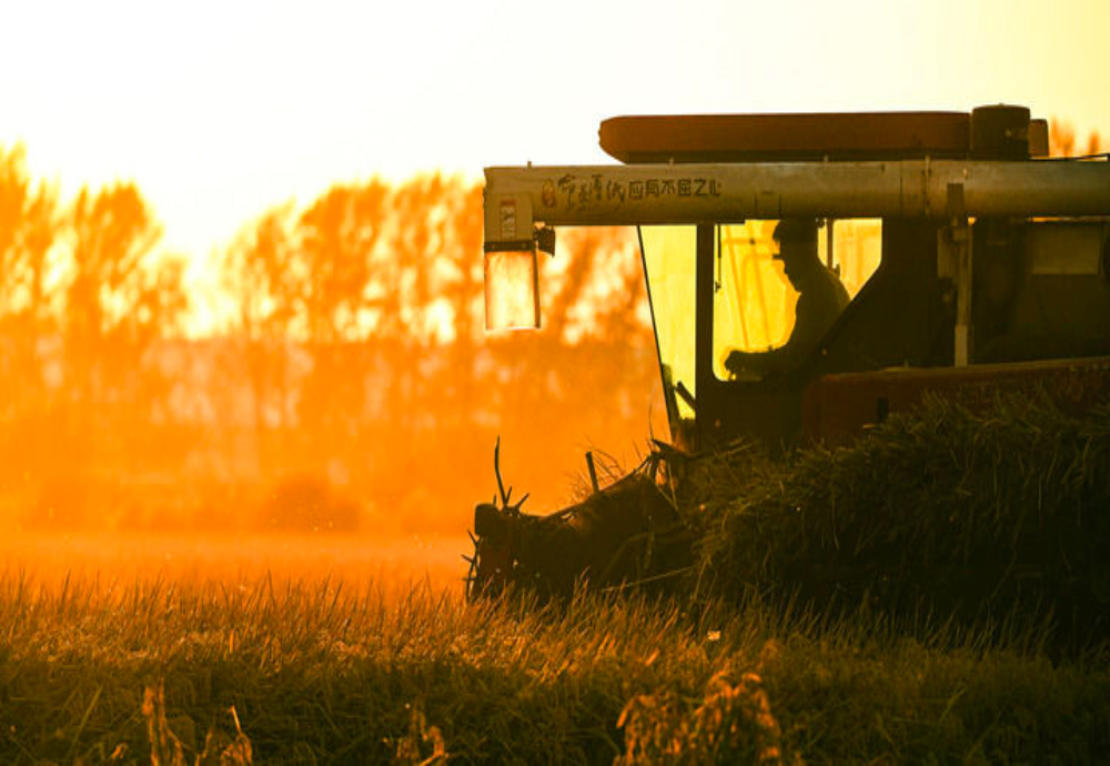 ！“人文”与“经济”辉映共生pg电子免费