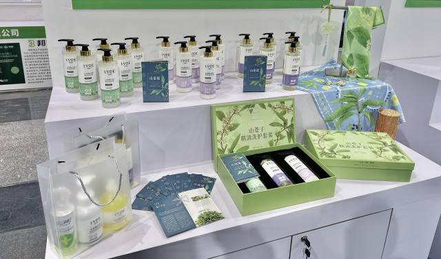 北山野“小辛香”如何迈向“大市场”pg电子试玩一颗山苍子的新生:粤(图2) 北山野“小辛香”如何迈向“大市场”pg电子试玩一颗山苍子的新生:粤(图2)